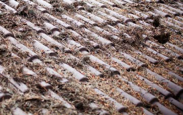 Little Airmyn roof cleaning companies